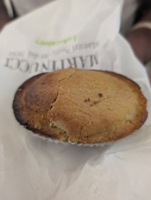  at Martinucci Laboratory in Rome