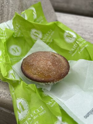   at Martinucci Laboratory in Rome