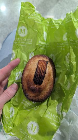  at Martinucci Laboratory in Rome