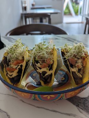 Locos Tacos at Earthy Picks in Orlando