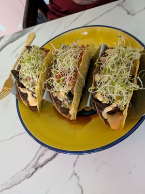  at Earthy Picks in Orlando