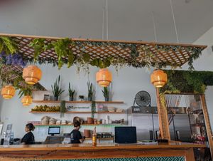  at Earthy Picks in Orlando