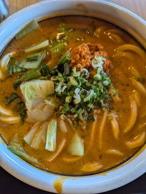 Tan tan (uses soy meat) at Marugame Udon in San Francisco