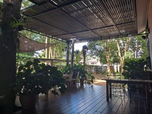 The outside garden at Munchies Café in Chiang Mai