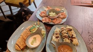 "Ente" im Sesammantel (links), marinierter Tofu im Teigmantel mit Erdnusssauce (mein Favorit - rechts), Teigtaschen (hinten), gieriger Hund (unten) at House of Vegan 182 in Berlin