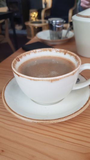 Great Americano at House of Botanics in Consett