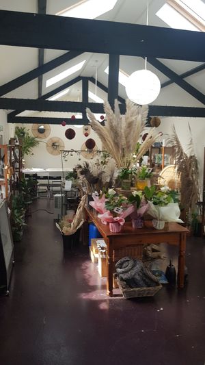 House of Botanics at House of Botanics in Consett