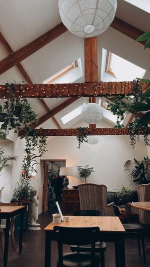   at House of Botanics in Consett