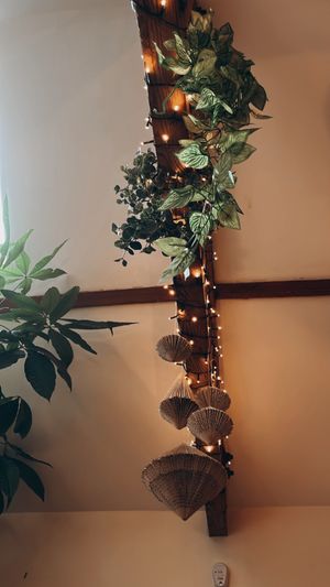   at House of Botanics in Consett