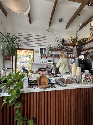   at Värav Coffee and Toast in Tallinn