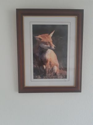  at Fox Hall in Kendal