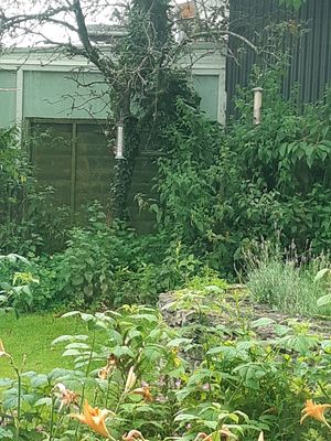  at Fox Hall in Kendal