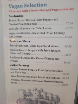 Vegan Menu Selection at Two the Square in Conwy