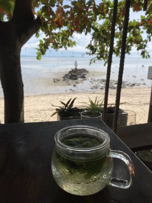   at The Shell Lounge in Koh Phangan