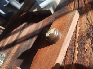 Praline Ingwer at Werkstatt Kaffee in Ergolding