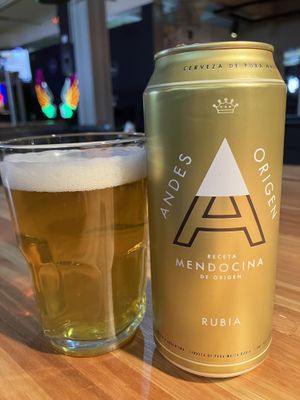 Andes Origen Rubia at Vegan Palermo in Buenos Aires