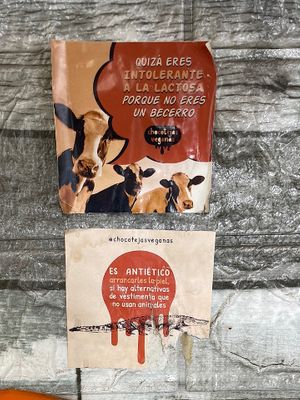 Maybe you’re lactose intolerant because you’re not a baby cow  at Noqa Vegan in Lima