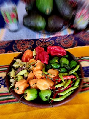 WE OPEN ON DECEMBER 24 FROM 2 TO 10 PM MENU 300 ALL INCLUSIVE AND ALL YOU CAN EAT...
MEXICAN STREET FOOD ALL DECEMBER at ART Libreria in San Cristobal De Las Casas