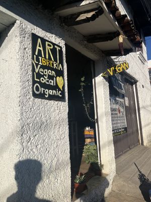   at ART Libreria in San Cristobal De Las Casas