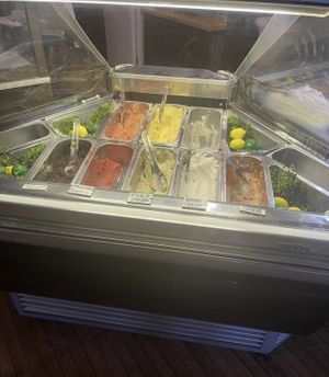 Vegan case - flavors rotate regularly   at The Gelateria Coffee Company in St Louis