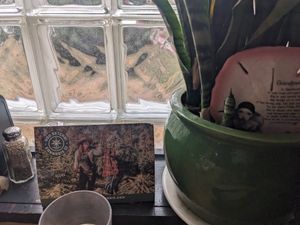  at Modern Times Cafe in Minneapolis