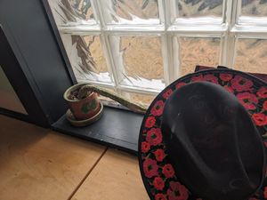  at Modern Times Cafe in Minneapolis