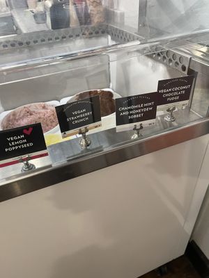 Vegan flavors that day  at Clementine's Naughty & Nice Creamery - St. Louis in St Louis