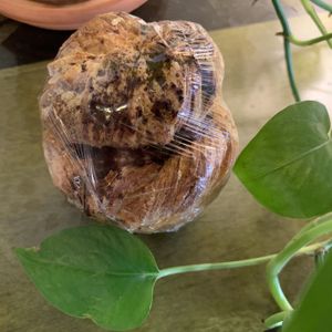Cruffin! Chocolate, vegan and amazing. at Soma in Bloomington