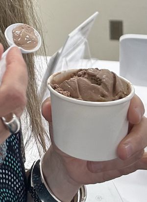 Chocolate peanut butter non-dairy ice cream.  at Kelly's Homemade Ice Cream in Orlando