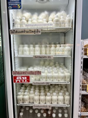 Coconut yoghurt   at Boonniyom Santi Asoke Market ตลาดบุญนิยมสันติอโศก in Bangkok