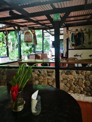  at Reserva Biologica Caoba in Santa Marta