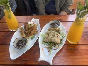 Spring rolls and fried dumplings  at Veganam in Kiel