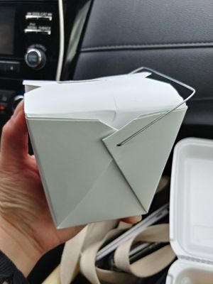 Rice that came with the Panang curry at The Old Siam in Jacksonville