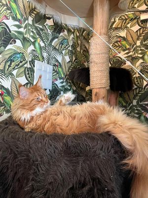  at Café Casa Del Gato in Zurich