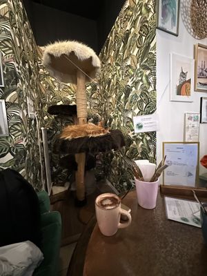 caotina hot chocolate ☕️   at Café Casa Del Gato in Zurich