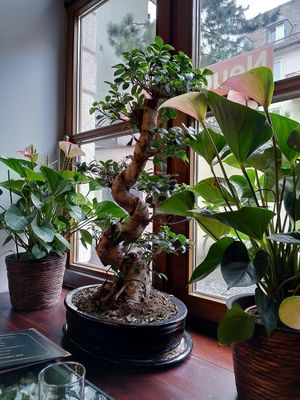  at Secret Garden in Munich