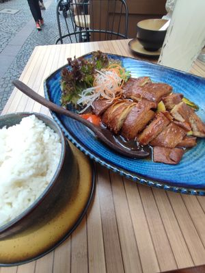 Vegan duck at Secret Garden in Munich