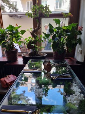  at Secret Garden in Munich