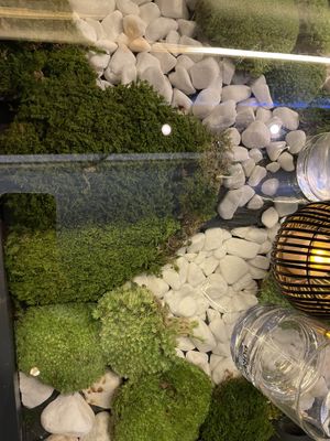   at Secret Garden in Munich