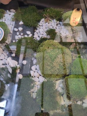 Moss tables in the garden at Secret Garden in Munich