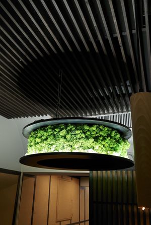 Moss air purifier (?) at Secret Garden in Munich