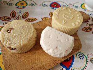  at Le Delizie del Caseificio Vegano in Bologna