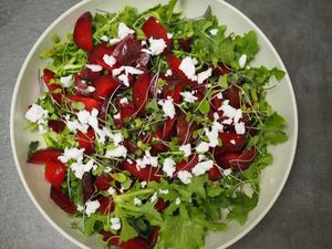 Roasted beet salad with toasted walnuts, vegan feta cheese and red wine vinegar dressing at Spoon and Sprout in Houston