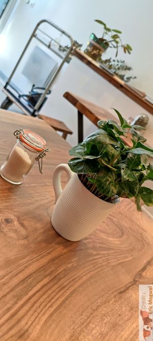 Inside at Brouillon in Paris