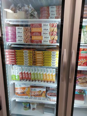 Frozen goods at Envie Végane in Strasbourg