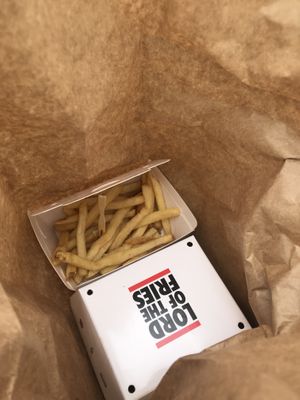 Delicious salty French fries at Lord of the Fries - Melbourne Central in Melbourne
