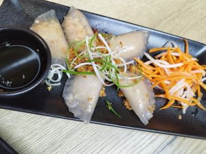 Those dumplings are so good! Glibbery and good at Vevi Restaurant II in Vienna