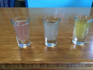 3 samples of the kombucha they have on tap. at Maui Kombucha in Haiku