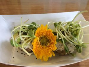 Breakfast bagel with garlic cream cheese. All raw. at Maui Kombucha in Haiku