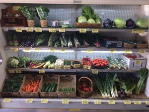 Some of the organic seasonal vegetables available at Elwood Organic at Elwood Organic in Elwood